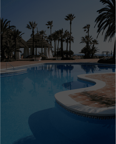 Sunny resort pool area with palm trees and lounge chairs.